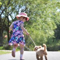 ペットと一緒に暮らせる住まいの探し方は？［ペット可物件のデメリットはなに？］