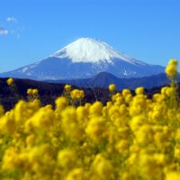 二宮町ってどんな街？家賃相場はいくらぐらい？