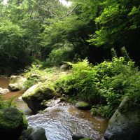 秦野市ってどんな街？家賃相場はいくらぐらい？