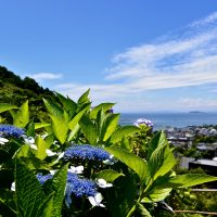 葉山町ってどんな街？家賃相場はいくらぐらい？