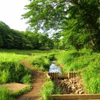 瑞穂町ってどんな街？家賃相場はいくらぐらい？