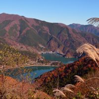 檜原村ってどんな街？家賃相場はいくらぐらい？