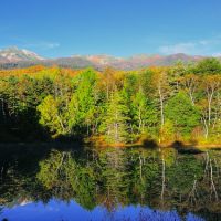 あきる野市ってどんな街？家賃相場はいくらぐらい？