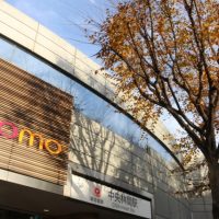 中央林間駅の住みやすさ、治安、利便性と家賃相場《地元不動産会社監修》