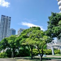 マンスリーマンションは通常の賃貸とどう違う？特徴や契約方法について解説