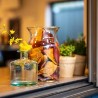 害虫の出にくい物件の選び方