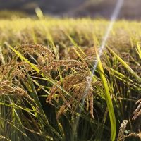 重要事項説明書の「農地法」とは？