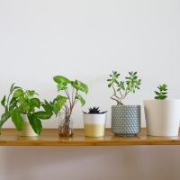 高校生のひとり暮らしはできる？