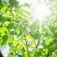 光熱費を安価に抑えられる「エコな賃貸住宅」とは？