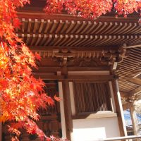 川崎市幸区の治安は良い？ファミリーでも安心して暮らせる？