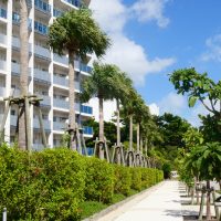 マンションvs一戸建て｜賃貸で選ぶならどっち？