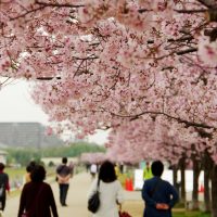 賃貸物件の入居日はいつ？調整してもらうことは可能？