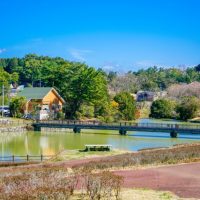 移住支援金でお得に！知らないと損する移住の自治体支援制度