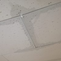 賃貸物件で雨漏り発生！対処法や補償、注意点とは？