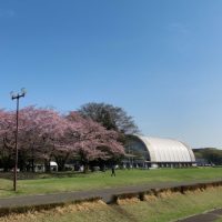 都内へ通勤しやすい賃貸物件を探したい！東京郊外のおすすめエリアをピックアップ