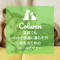 賃貸でもペットと快適に暮らそう！共生のためのルールとマナー